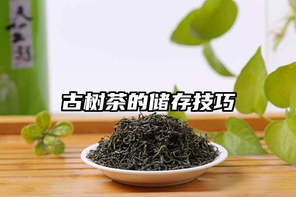 古树茶的储存技巧