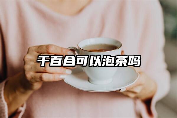 干百合可以泡茶吗