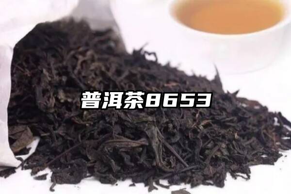 普洱茶8653