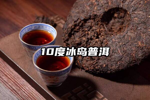 10度冰岛普洱