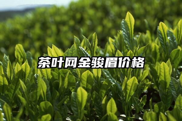 茶叶网金骏眉价格