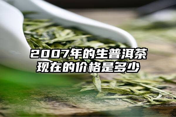 2007年的生普洱茶现在的价格是多少