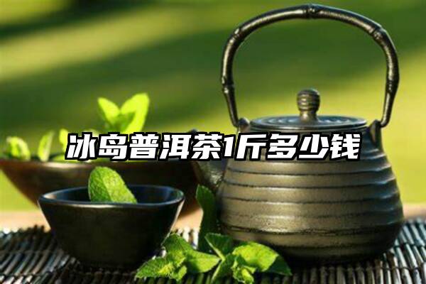 冰岛普洱茶1斤多少钱