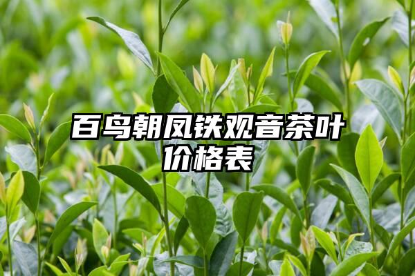 百鸟朝凤铁观音茶叶价格表