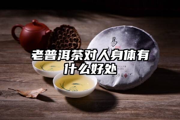 老普洱茶对人身体有什么好处