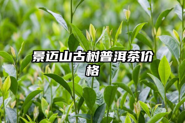 景迈山古树普洱茶价格