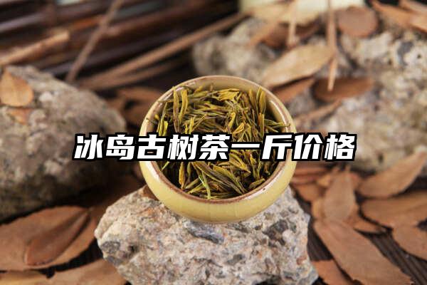 冰岛古树茶一斤价格