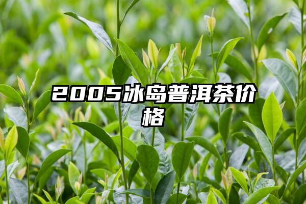 2005冰岛普洱茶价格