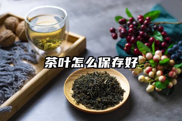 茶叶怎么保存好