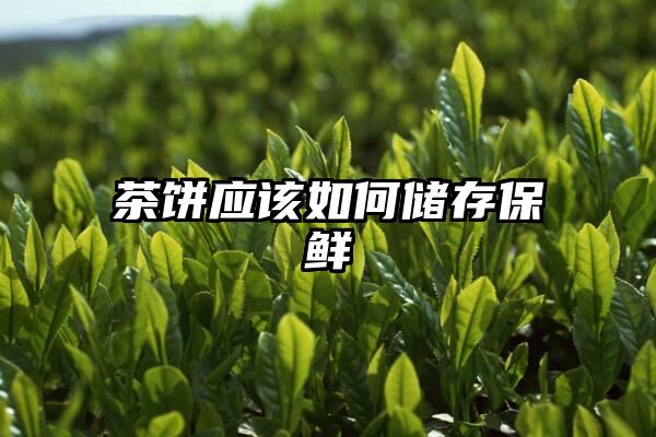 茶饼应该如何储存保鲜