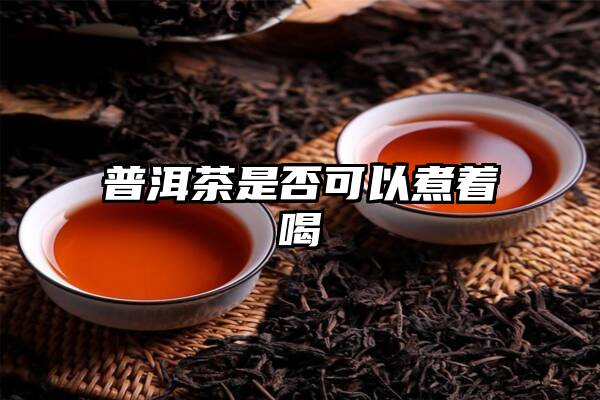 普洱茶是否可以煮着喝