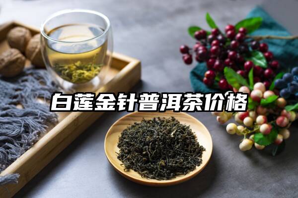 白莲金针普洱茶价格