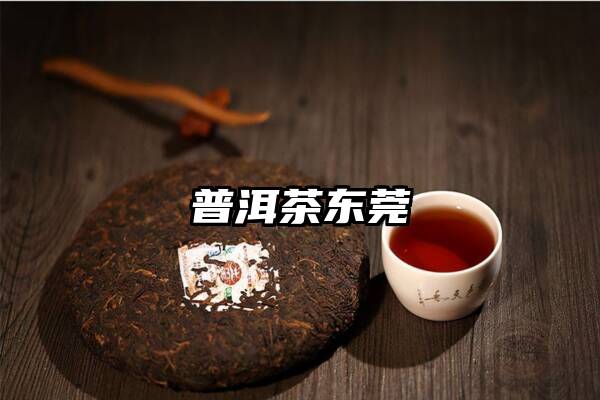 普洱茶东莞