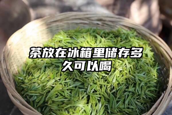 茶放在冰箱里储存多久可以喝