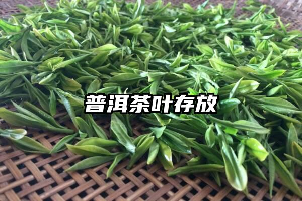 普洱茶叶存放