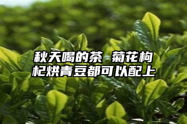 秋天喝的茶 菊花枸杞烘青豆都可以配上