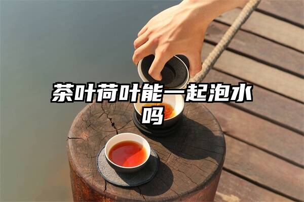 茶叶荷叶能一起泡水吗