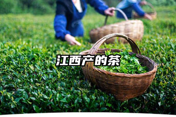 江西产的茶