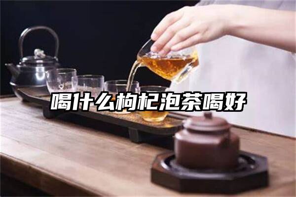 喝什么枸杞泡茶喝好