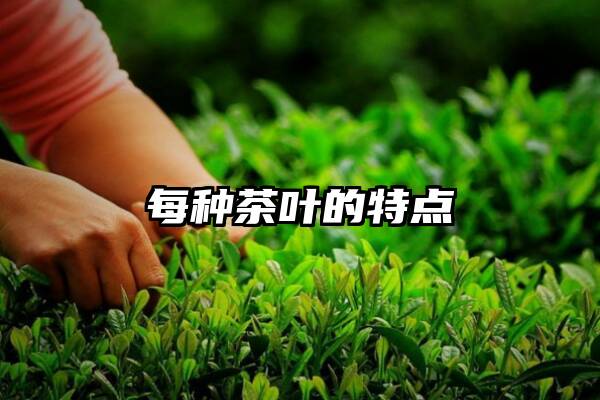 每种茶叶的特点