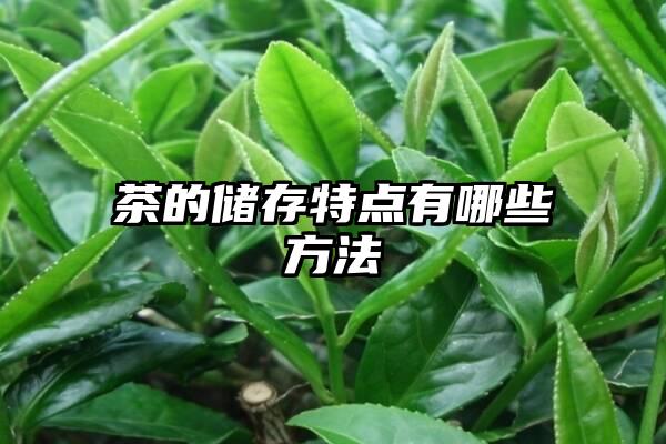 茶的储存特点有哪些方法