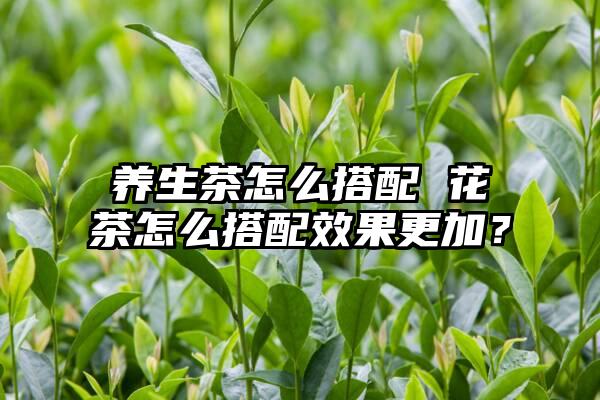 养生茶怎么搭配 花茶怎么搭配效果更加？