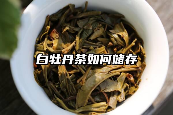 白牡丹茶如何储存