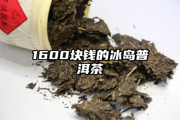 1600块钱的冰岛普洱茶