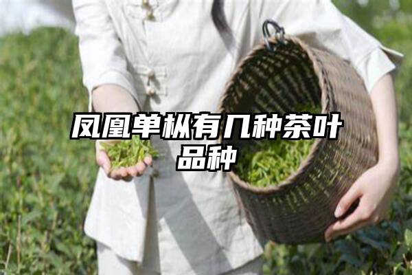 凤凰单枞有几种茶叶品种