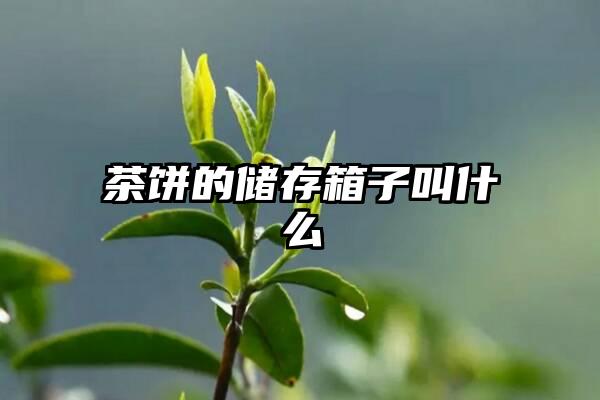 茶饼的储存箱子叫什么