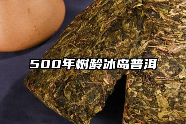 500年树龄冰岛普洱