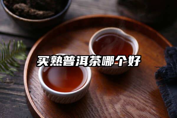 买熟普洱茶哪个好