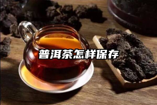 普洱茶怎样保存