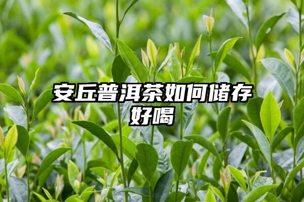 安丘普洱茶如何储存好喝