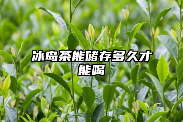 冰岛茶能储存多久才能喝