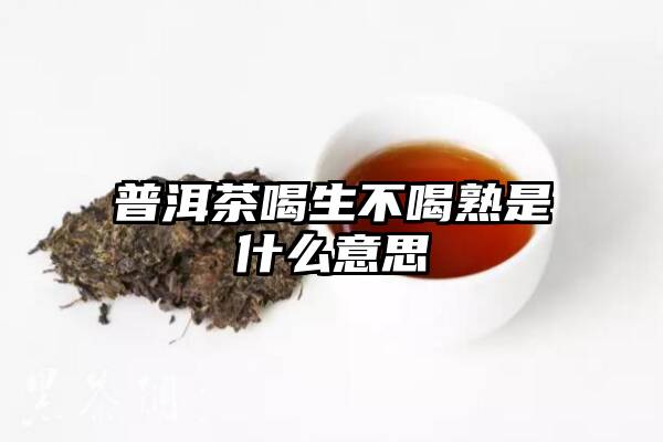 普洱茶喝生不喝熟是什么意思