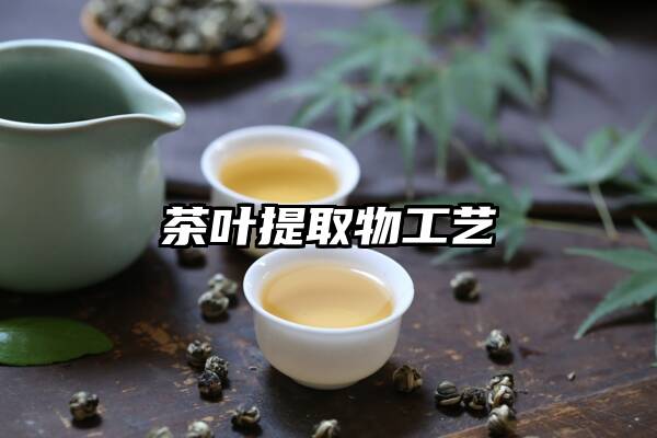 茶叶提取物工艺