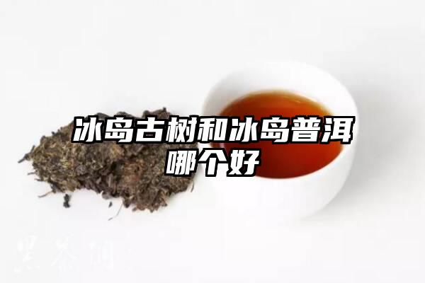 冰岛古树和冰岛普洱哪个好