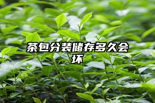 茶包分装储存多久会坏