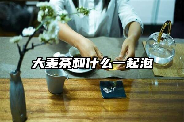 大麦茶和什么一起泡