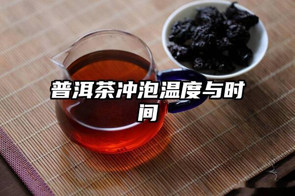 普洱茶冲泡温度与时间