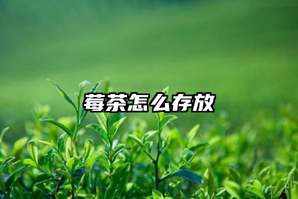 莓茶怎么存放