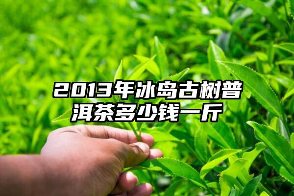 2013年冰岛古树普洱茶多少钱一斤