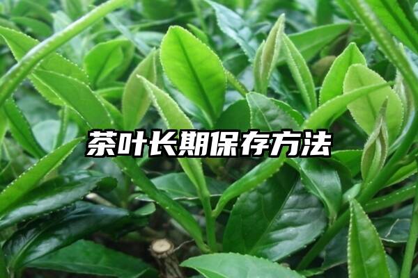 茶叶长期保存方法