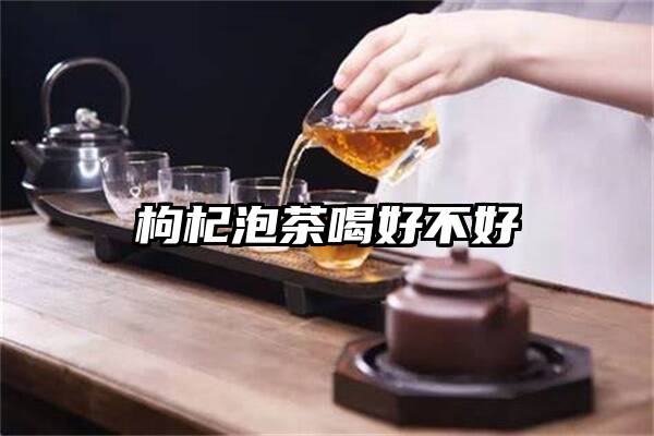 枸杞泡茶喝好不好