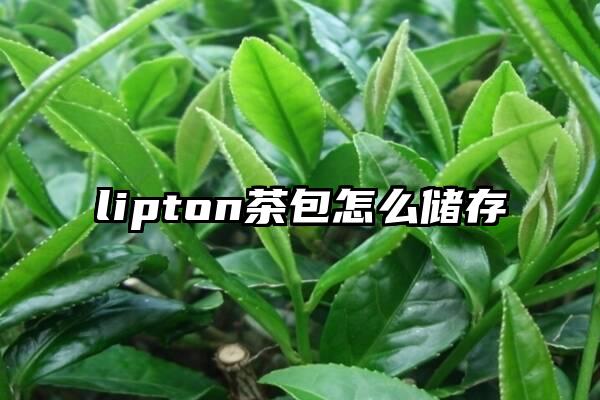 lipton茶包怎么储存