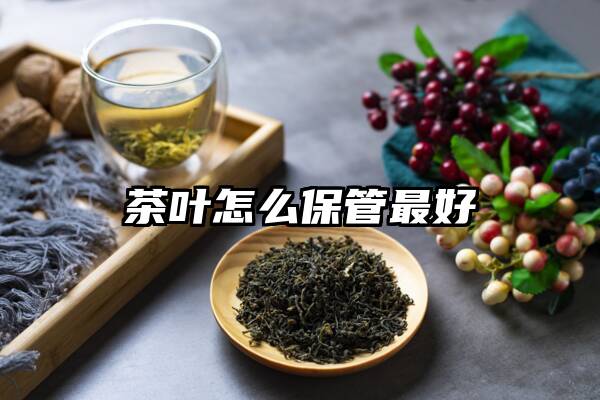 茶叶怎么保管最好