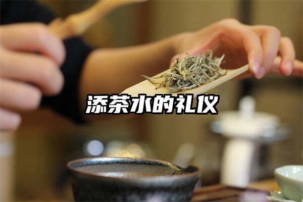 添茶水的礼仪