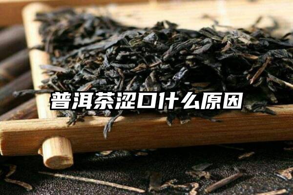 普洱茶涩口什么原因