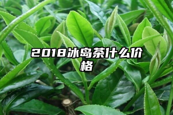 2018冰岛茶什么价格